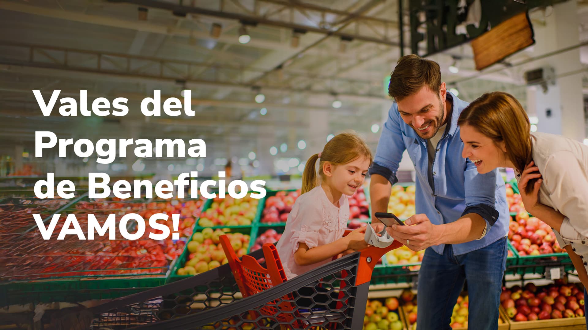 Vales del Programa de Beneficios VAMOS!